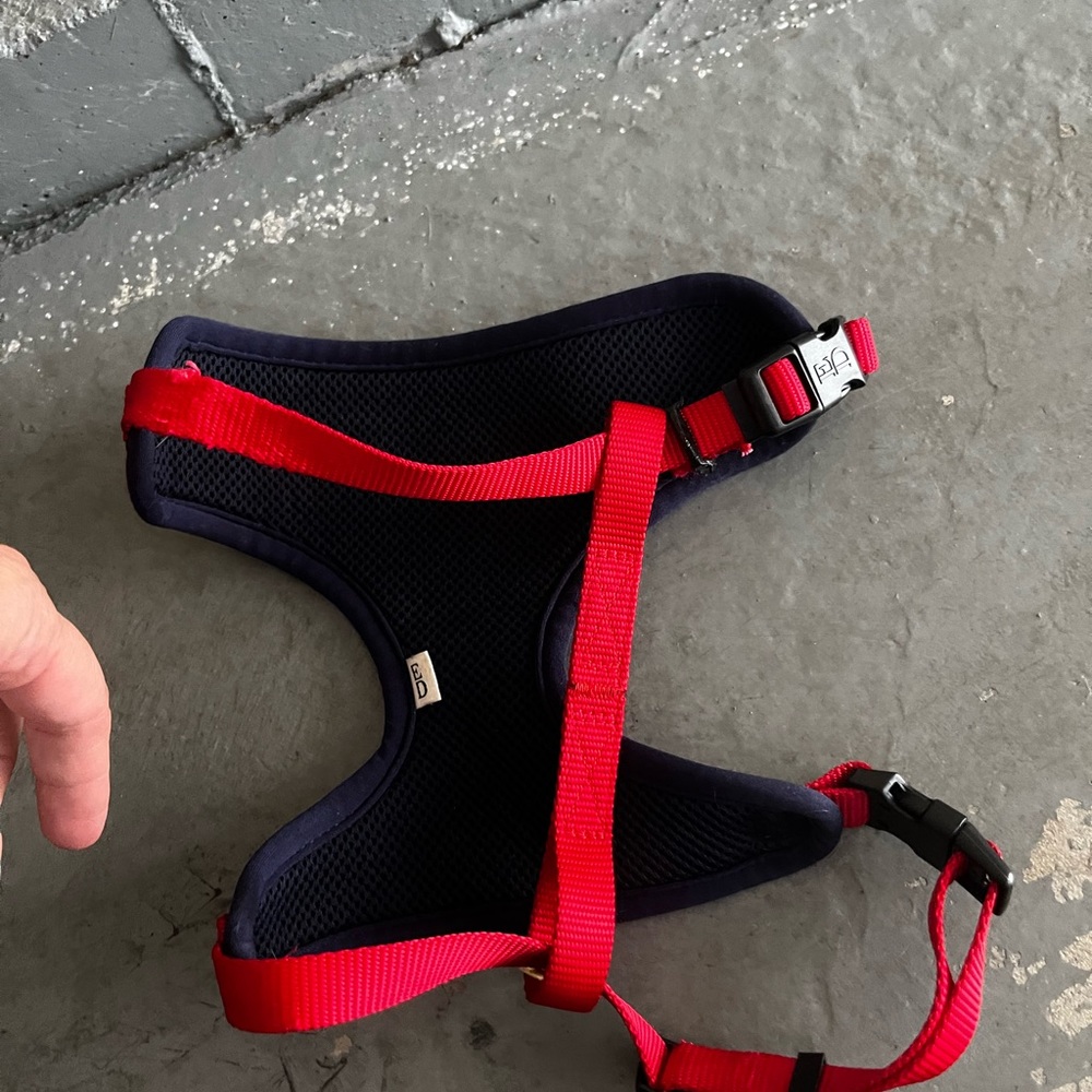 Small dog harness - Picture 3 of 10